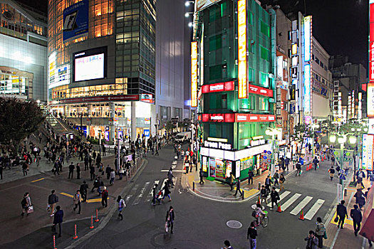 日本,东京,新宿,街景,夜生活,人