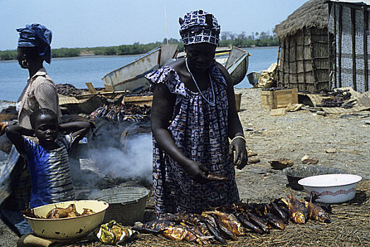 非洲,冈比亚,河,渔村,鱼肉