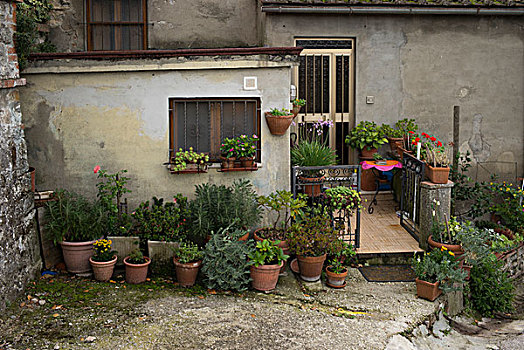 盆栽,户外,房子,托斯卡纳,意大利