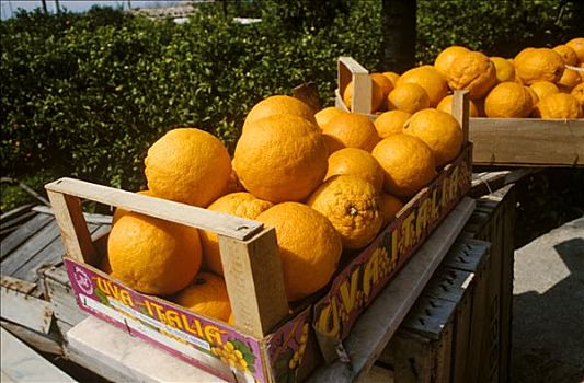 盒子,满,新鲜,橘子