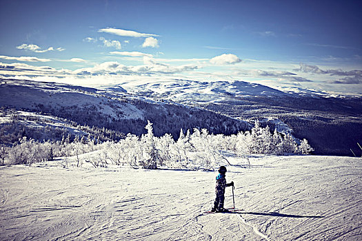 男孩,滑雪,山