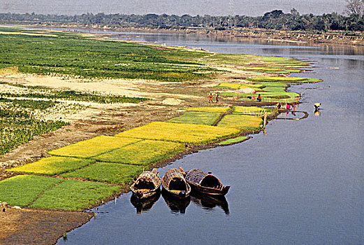 河,市场,孟加拉