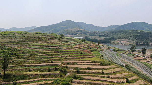 航拍江北最美梯田--山东莒县龙山梯田,蜿蜒伸展蔚为壮观