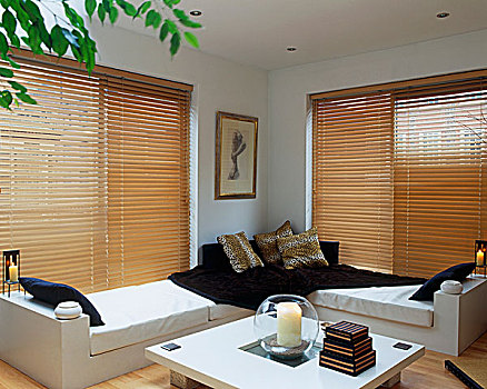 木质,百叶窗,遮盖,窗户,简单,客厅,一对,舒适,白天,床,低,茶几