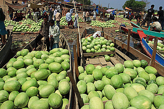 西瓜,批发,市场,一个,山,孟加拉,2007年