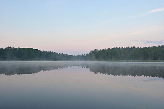 晨雾,上方,湖,生物保护区,石南,水塘,风景,萨克森,德国,欧洲