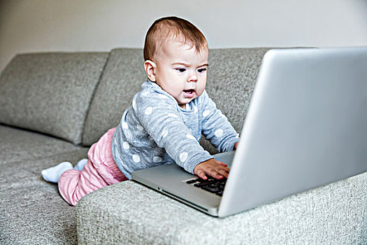 幼儿,女孩,玩,笔记本电脑