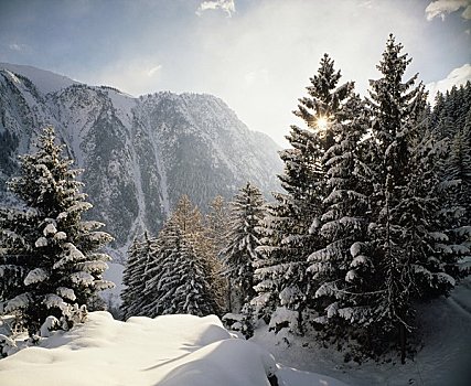 积雪,风景,瓦莱,瑞士
