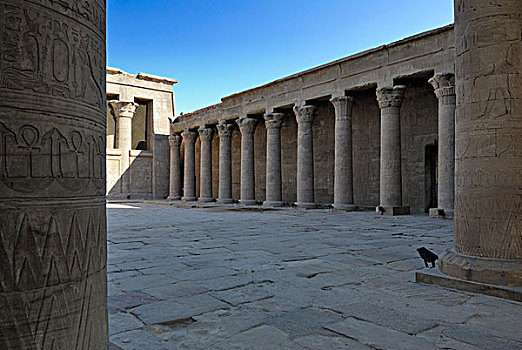 柱廊,柱子,象形文字,高安宝神庙,埃及,大门,伊迪芙,非洲