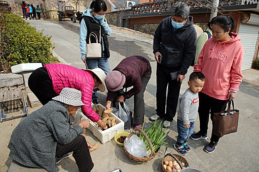 山东省日照市,五莲山脚下的大旺村变身花海,城里游客赏花踏春热闹非凡