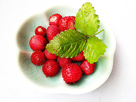 野草莓,草莓,野果
