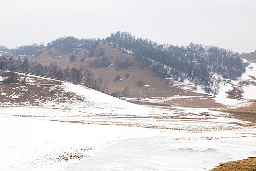 牧场冬雪