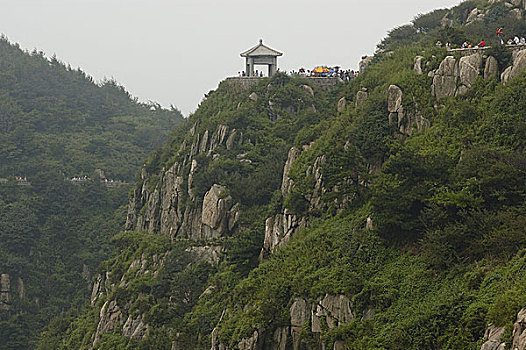 山东泰山