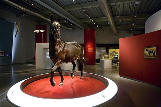 马,博物馆,北莱茵威斯特伐利亚,德国,欧洲