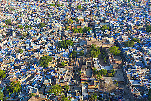 风景,梅兰加尔古堡,蓝色,城市,拉贾斯坦邦,印度