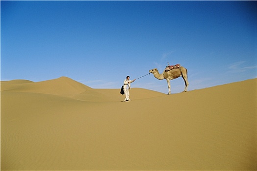 女人,户外,走,沙漠,骆驼,远处