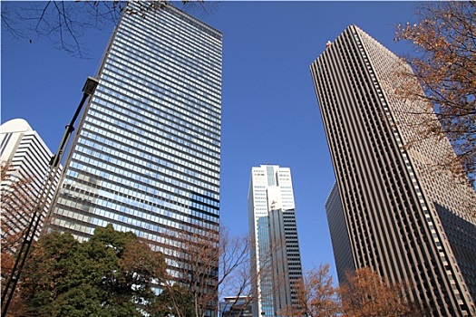 摩天大楼,新宿,日本