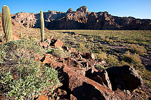 崎岖,漂亮,山,野生动植物保护区,亚利桑那