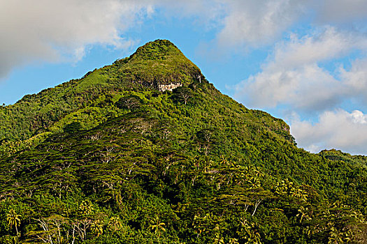 太平洋,法属玻利尼西亚,社会群岛,风景,树,山峰