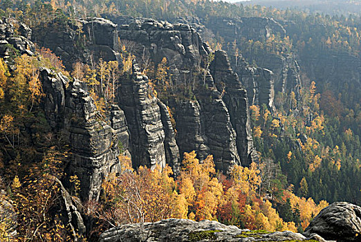 彩色,树,秋天,易北河砂岩山,撒克逊瑞士,萨克森,德国,欧洲