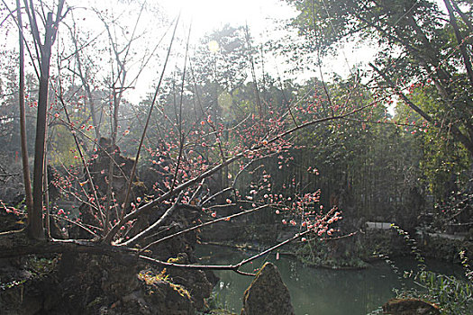 成都,古迹,建筑,旅游,景点,街道,商铺,杜甫草堂