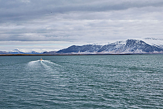 冰岛,雷克雅未克,港口,船,山,远景