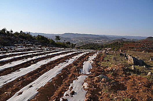 乌蒙山,风光,田园,公路,山脉,天空,高海拔,云贵高原,民居,美景,春季