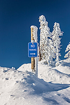 禁止停车,标识,攀升,阿什兰,滑雪胜地,南方,俄勒冈,美国