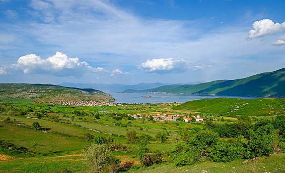 大湖,岛屿,乡村,国家公园,靠近,阿尔巴尼亚,欧洲