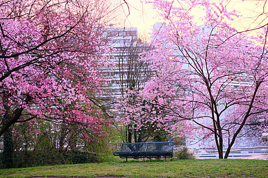 munich慕尼黑olympia,park