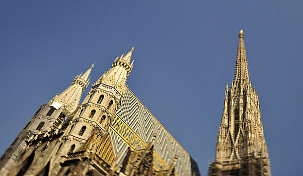 大教堂,维也纳,奥地利,欧洲