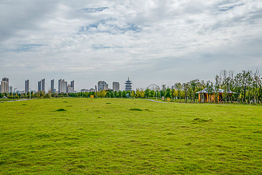 汽车背景－古塔湿地绿地草坪