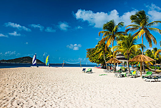 棕榈树,白沙滩,棕榈岛,格林纳丁斯群岛,加勒比