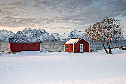 特色,雪景,日落,峡湾,阿尔卑斯山,特罗姆瑟,挪威,欧洲