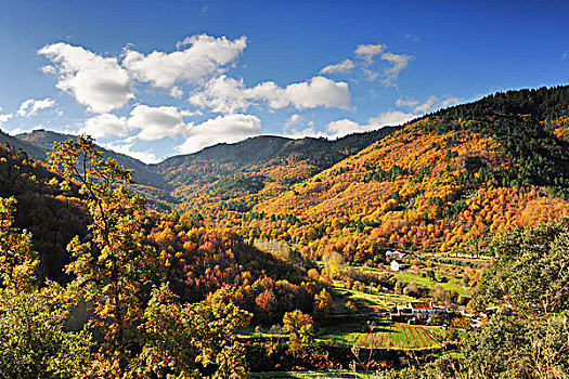 秋天,山谷,河,自然公园,葡萄牙