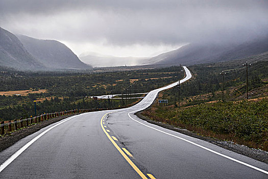 弯曲,乡村道路,格罗莫讷国家公园,纽芬兰,加拿大