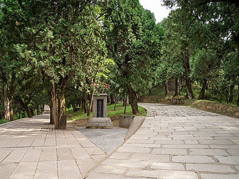 陕西省延安市黄陵县黄帝陵景区