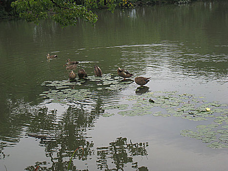 杭州西湖风光