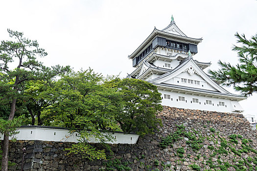 城堡,日本