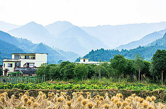 桂林山景秋色