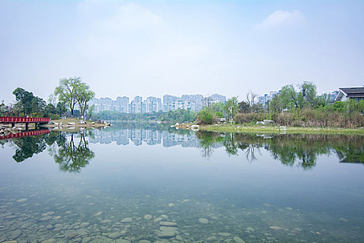  春天的锦城湖公园