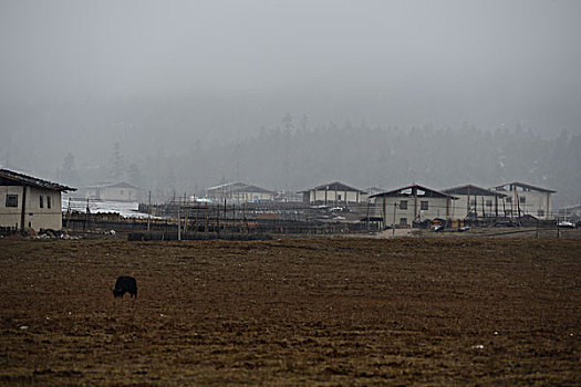 香格里拉雪山