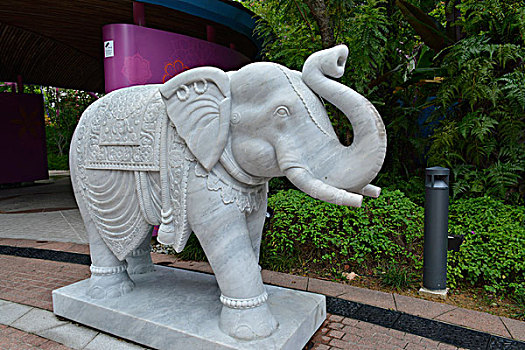 港科校园雕塑白象