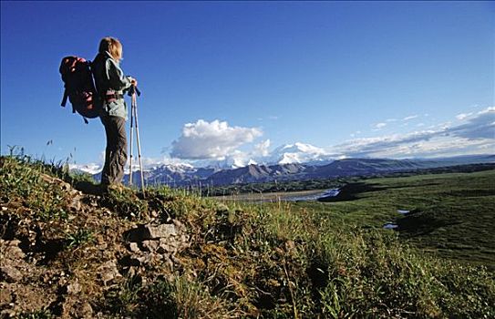 远足,德纳里峰国家公园,山,麦金利山,背景,阿拉斯加,美国