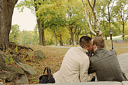 男人,吻,情侣,脸颊,公园