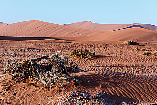 美景,隐藏,纳米布沙漠