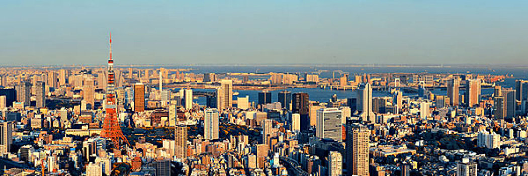 東京,城市,天際線,屋頂,日落,風景,日本