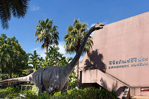 恐龙,博物馆,地区,省,泰国,亚洲