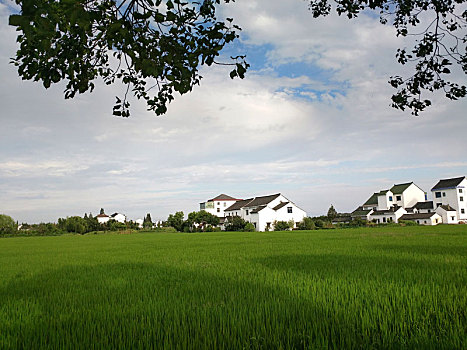 田园风光,乡村美景