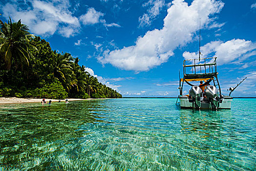 小,摩托艇,青绿色,水,蚂蚁,环礁,密克罗尼西亚